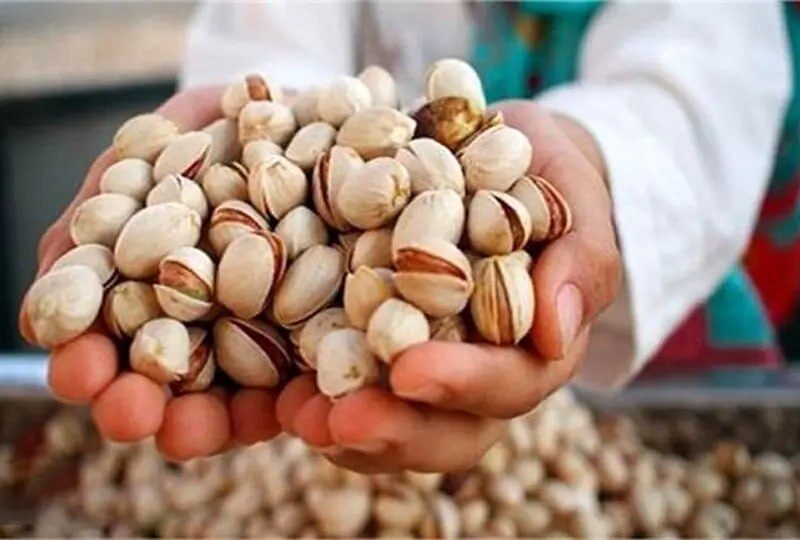 کمبود پسته ایران، چالش جدید صنعت شکلات‌سازی امارات