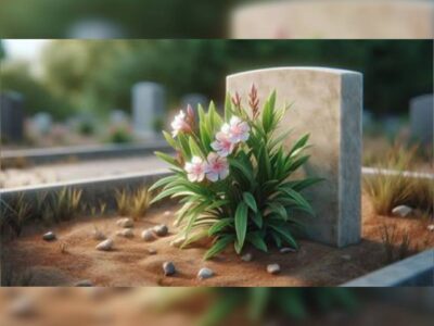 رکورد جهانی شکاف پوشش فوت در سالی که گذشت